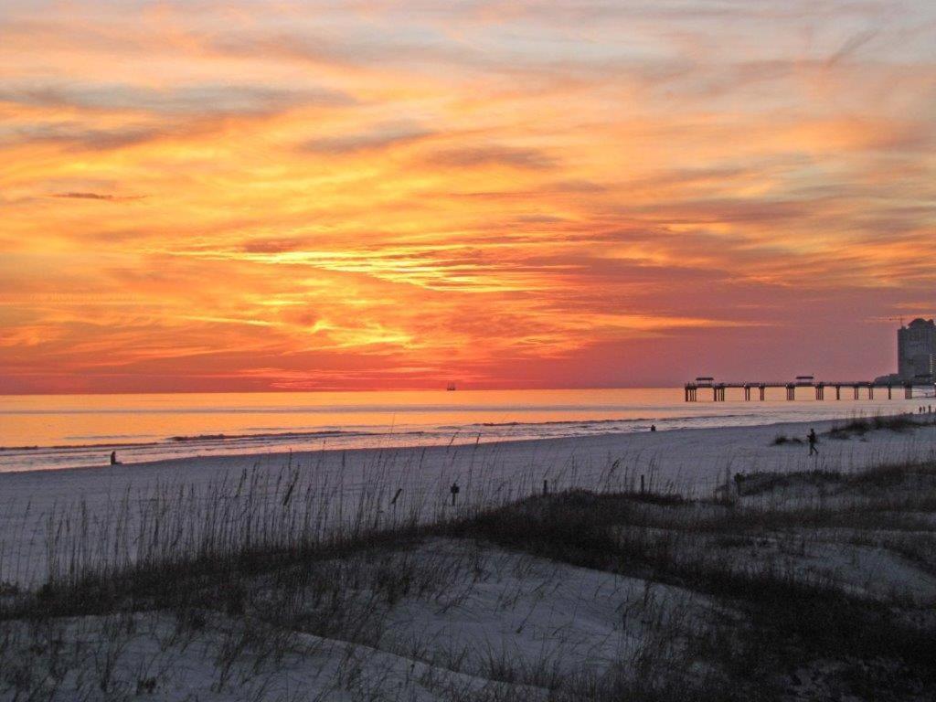 Beachview 216 By Albvr - Studio In The Heart Of It All, Just Steps To The Beach And Hangout! Gulf Shores Exterior foto